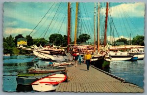 Postcard Camden ME c1960s Schooners And Small Boats Camden Harbor