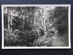 Shropshire WELLINGTON The Canal - showing FOOT BRIDGES c1940s RP Postcard