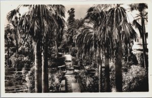 Spain Seville Moorish Castle The Gardens Sevilla Vintage RPPC C203