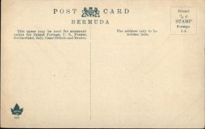 Bermuda Front Street in Hamilton c1910 Postcard