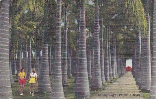 Stately Royal Palms Florida