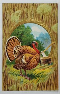 Thanksgiving Greetings Beautiful Turkey on Faux Tree Bark Gilded Postcard S16
