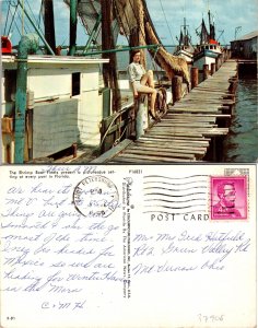 Shrimp Boat Fleets Florida Postcard Used (37908)