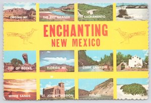 State Views~New Mexico Multiviews~Sacramento NM~Florida Mt NM~Continental PC