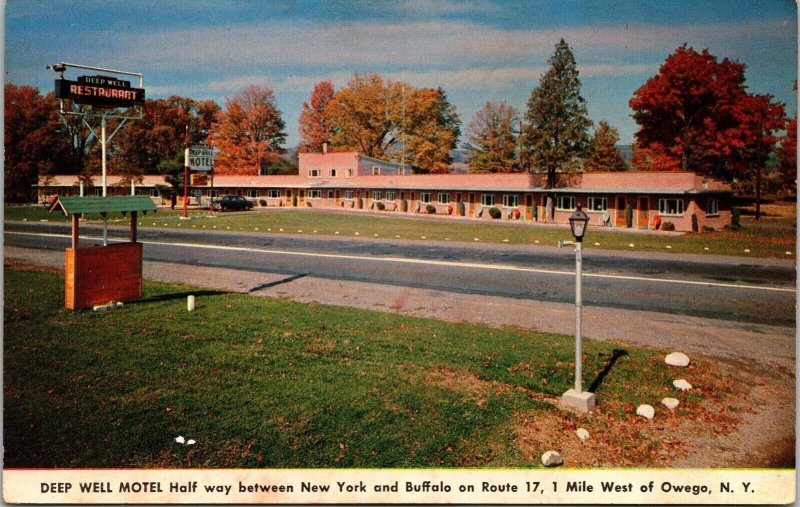 Deep Well Motel Streetview New York Scenic Countryside Inn Chrome Postcard