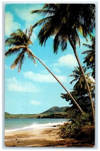 c1960's Graceful Coconut Palms White Sand of Vigie Beach Saint Lucia Postcard