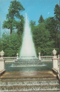 Russia Postcard - Petrodvorets - The Pyramid Fountain   RS31373