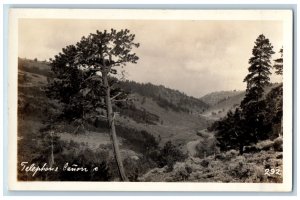 Telephone Canyon Wyoming Postcard RPPC Photo View Of Lincoln Highway Curve Road