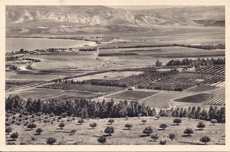 JUDAICA, Israel, Palestine, Kibbutz Jordan River Valley pre-1948, Sea of Galilee