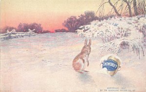 Southern Cotton Oil Company SnowDrift Note The Rabbit Advertising Postcard