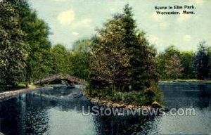 Elm Park - Worcester, Massachusetts MA Postcard