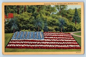 Hartford Connecticut Postcard American Flag Elizabeth Park c1944 Vintage Antique