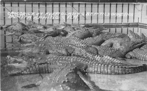 Bonita Springs Florida Crocodile Reptile Gardens 1940s RPPC Postcard 21-14543