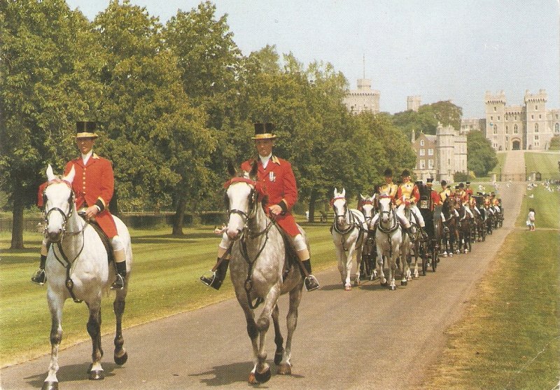 The Queen procession in The Long Walk. Horses  Modern english PC. Continental