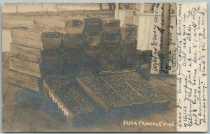 LAKE KEUKA NY VINEYARDS GRAPE ANTIQUE REAL PHOTO POSTCARD RPPC w/ CORK CANCEL