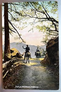 Vintage Postcard 1907-1915 Trail Ride Up Mt. Wilson, Pasadena, California (CA)