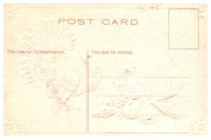 Thanksgiving   Tom Turkey  , white Gourds