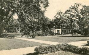 OH - Oberlin. Oberlin College, Campus View