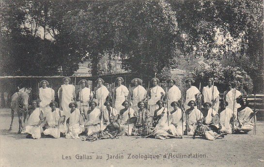 Zebras Les Gallas au Jardin Zoologique d'Acclimation Hagenbeck Circus an...