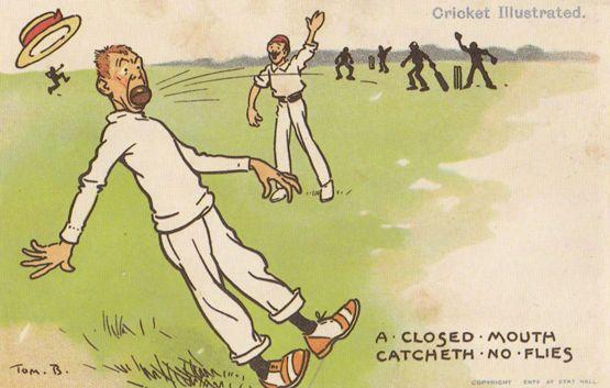 Tom Browne Cricket A Closed Mouth Catcheth No Flies Comic Postcard