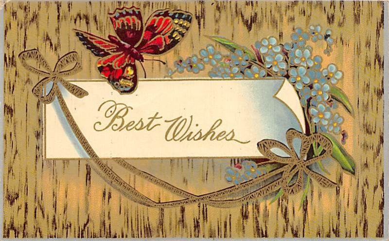 Best Wishes Butterfly 1911 