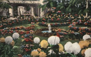 Vintage Postcard 1946 Chrysanthemum Display Jewel Box Forest Park St. Louis MO