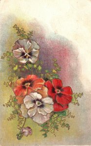 Vintage Postcard 1910 White Orange Red Pansies Flowers Floral Bloom Art Painting