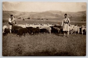 Sheep A Shepherd and His Flock RPPC c1910 Real Photo Postcard M33