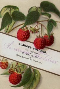 Carter, Rice & Co. da década de 1880 Pastas de verão para impressora amostra framboesas #3 3R-