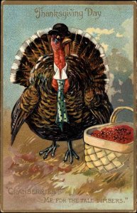 Thanksgiving TUCK Turkey in Tie Cranberries Embossed c1900-20s Vintage Postcard