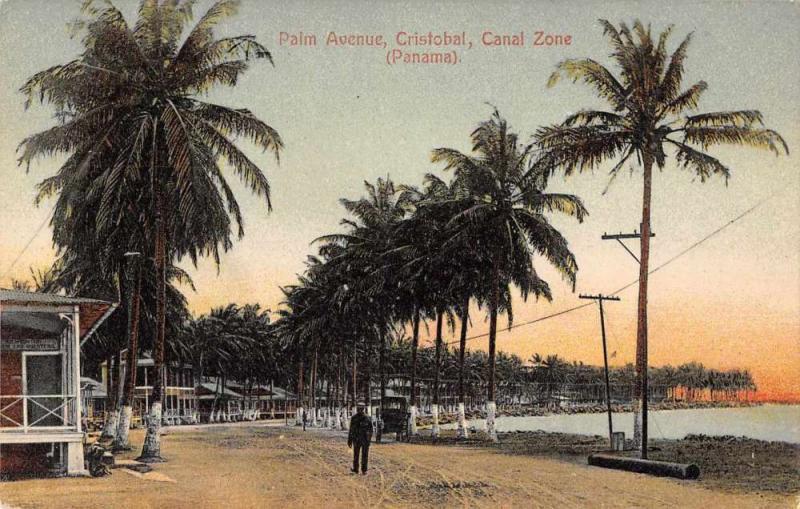 Cristobal Panama Canal Zone Palm Avenue Antique Postcard J57238