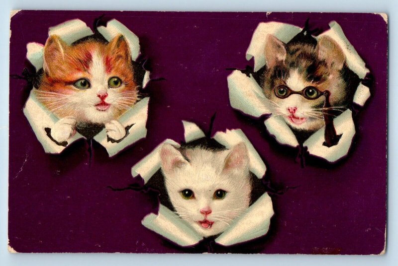 Schleswig Iowa IA Postcard Cute Cat Kittens Animal Embosses 1912 Posted Antique