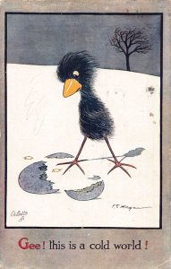 Animals Humanized Bird Comes out of Egg Snow Art FE Morgan 1938 postcard  B924