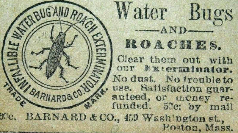 1870s-80s Barnard & Co Water Bugs & Roach Bug Killer Victorian Print Ad L14 