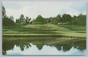 Charleston South Carolina~Middleton Gardens~Landscaped Garden~Vintage Postcard