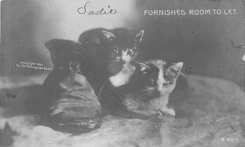 Adorable cats in shoes 1907 RPPC Photo Postcard Rotograph undivided 526