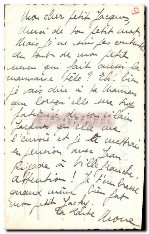 Old Postcard Foret En Chartreuse