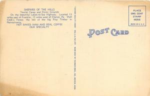 Van Pennsylvania 1940s Postcard Shepard Of The Hills Tourist Camp