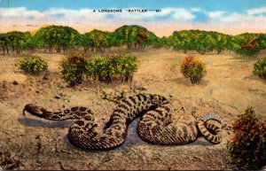 Snakes A Lonesome Rattler 1946