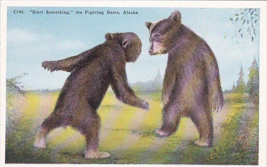 Start Something The Fighting Bears Alaska