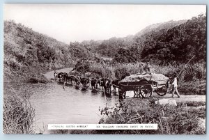 Typical South Africa Postcard Ox Wagon Crossing Drift in Natal c1910 RPPC Photo