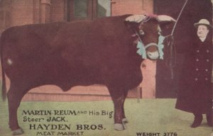 OMAHA, Nebraska, 1900-10s ; HAYDEN BROS. Meat Market, Big steer JACK