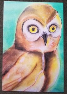 [AG] P93 Malaysia Bird Of Prey Owl Bird Wildlife Painting (postcard) *New