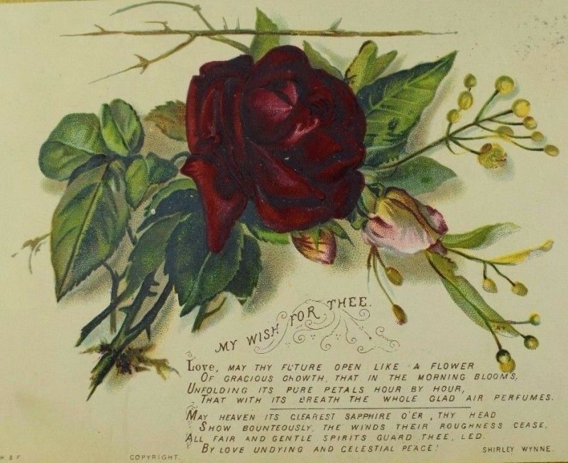 1870's-80's Victorian Trade Card Poem My Wish For Thee Red & Pink Roses &X