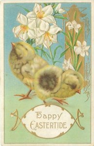 Easter Lilies and RealisticChicks, Embossed, Gold Foil Easter Postcard Unposted