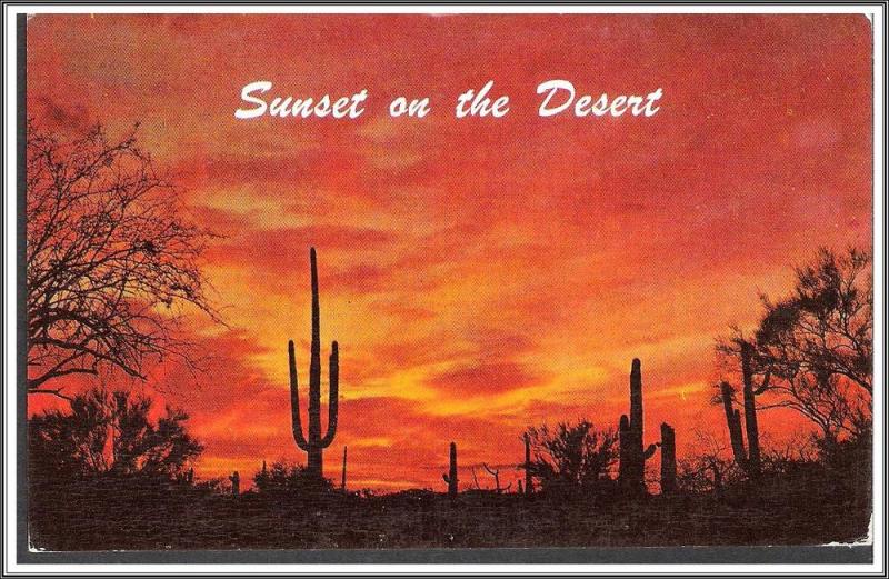 Arizona Sunset on the Desert Postcard - [AZ-011]