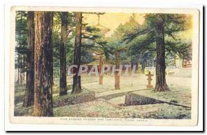 Japan Stored Five Pagoda and Torii Gate Nikko Japan