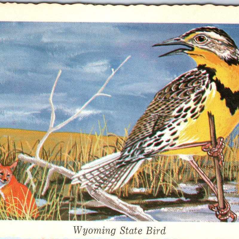 1968 WY Wyoming State Bird Western Meadowlark Fox Ken Haag Painting Art PC A334