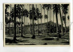 3151569 SINGAPORE Crescent Flats at KATONG Vintage postcard