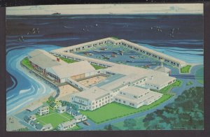 Massachusetts Provincetown Inn & Motel at the tip of Cape Cod pm1969 - Chrome